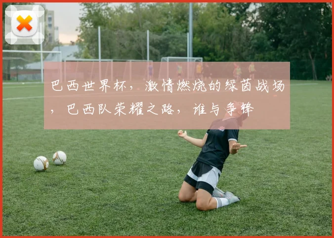 巴西世界杯，激情燃烧的绿茵战场，巴西队荣耀之路，谁与争锋