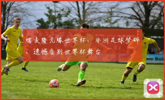 喀麦隆无缘世界杯，非洲足球梦碎，遗憾告别世界杯舞台