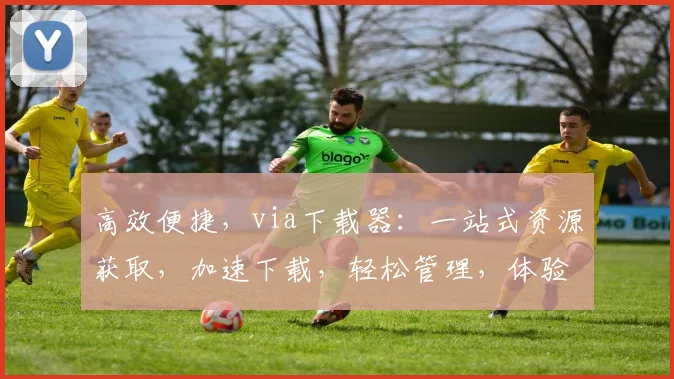 高效便捷，via下载器：一站式资源获取，加速下载，轻松管理，体验非凡