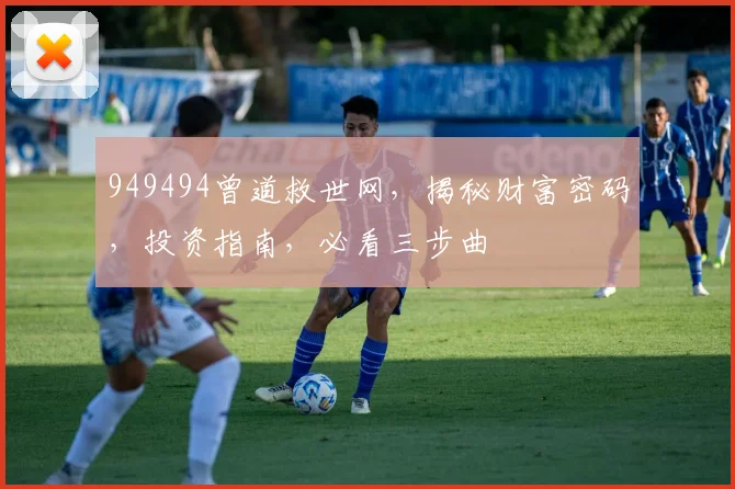 949494曾道救世网，揭秘财富密码，投资指南，必看三步曲